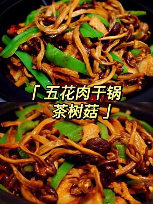 茶樹菇