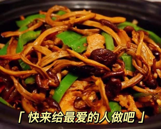 茶樹菇