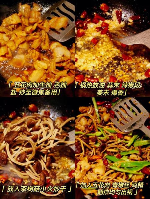 茶樹菇