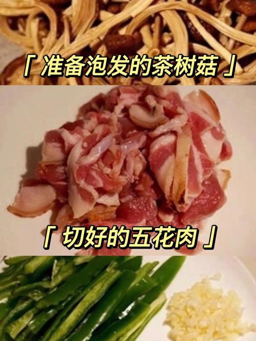 茶樹菇