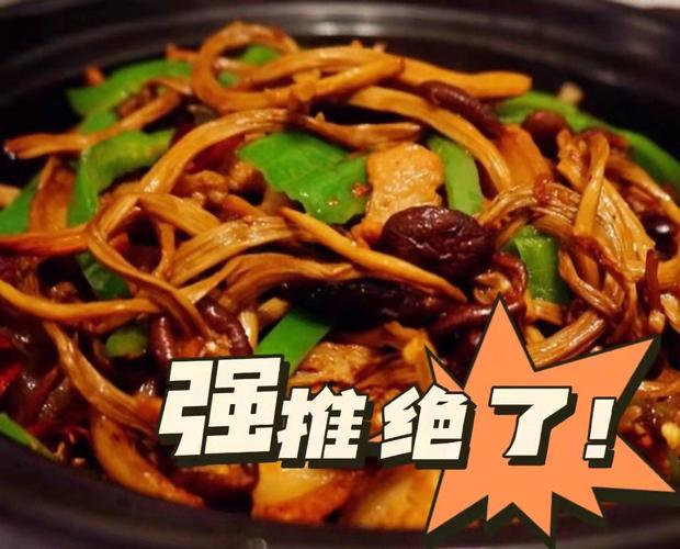 茶樹菇